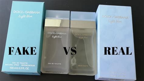 fake dolce and gabbana light blue 100ml